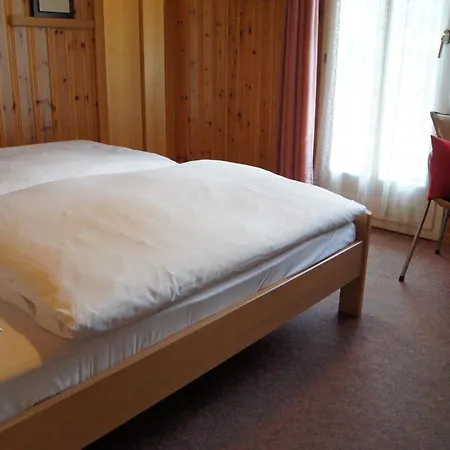 Hotel Alpina 2*