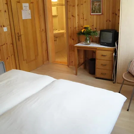 Alpina Budget By Schallers Tannenhof 2* Zermatt