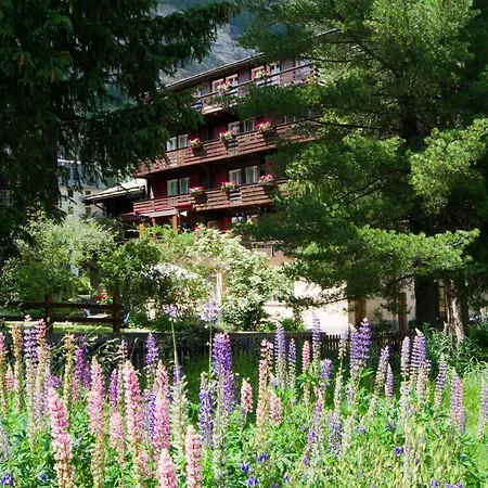 Alpina Budget By Schallers Tannenhof Hotel Zermatt