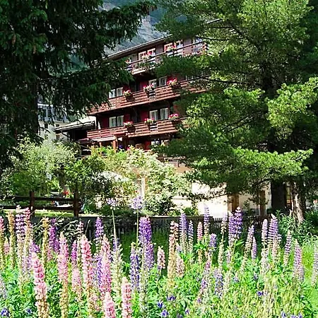 Alpina Hotel 2*