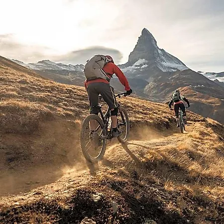 Alpina 2*