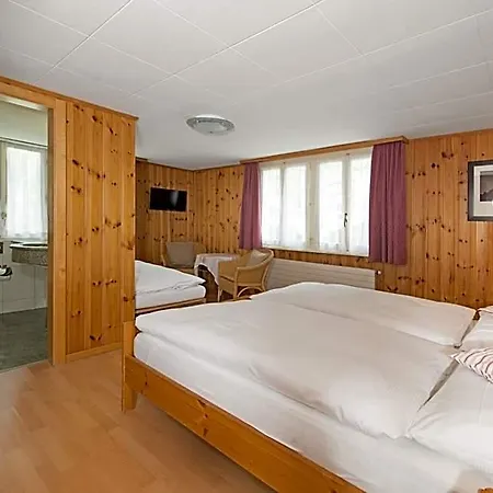 Alpina Hotel Zermatt
