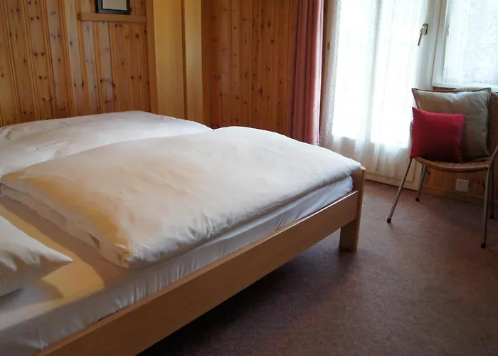 Ξενοδοχείο Alpina 2*